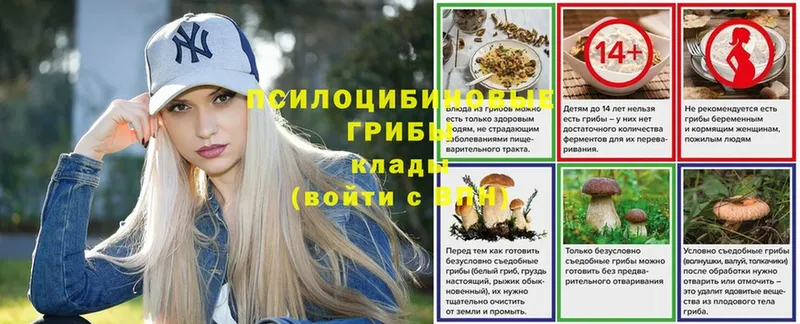 Галлюциногенные грибы GOLDEN TEACHER Жуковский